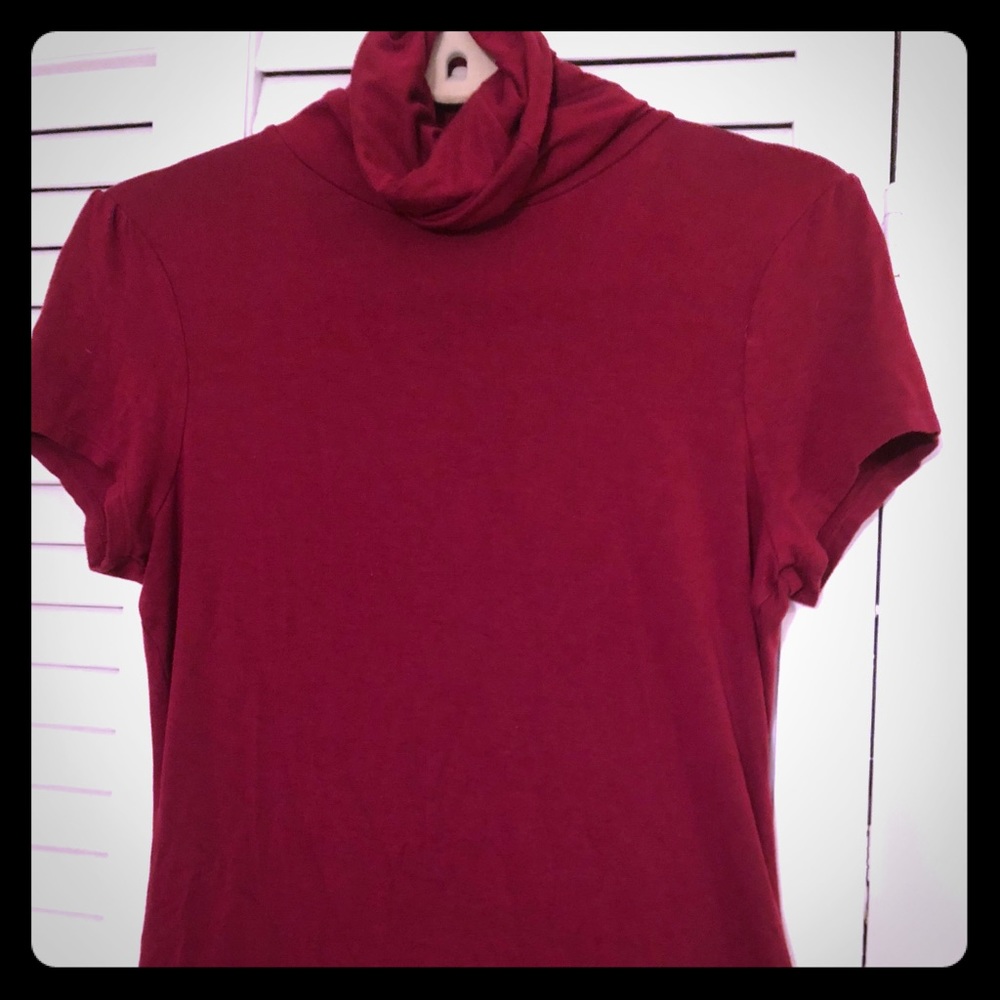 The Limited short sleeved Turtleneck